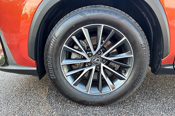 Lexus NX350h 15 of 29
