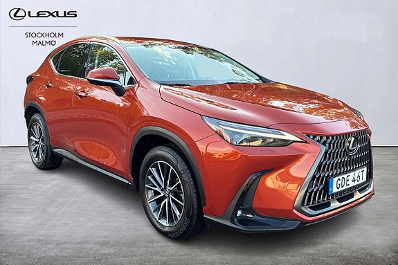 Lexus NX350h 18 of 29