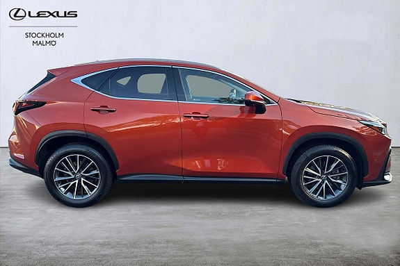 Lexus NX350h 16 of 29