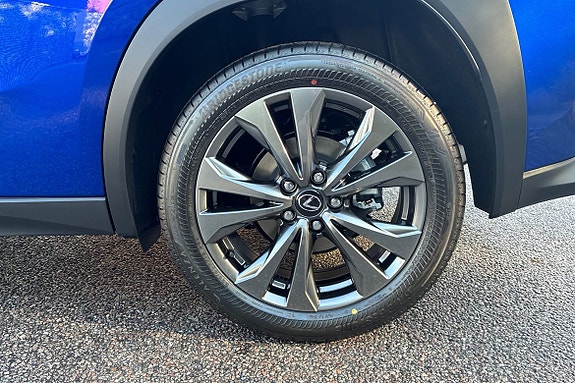 Lexus UX300h 15 of 26