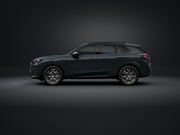 Cupra Terramar 2 of 5