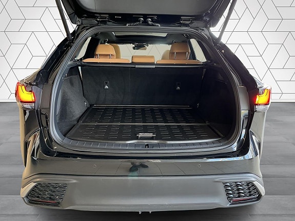 Lexus RX450h 23 of 23