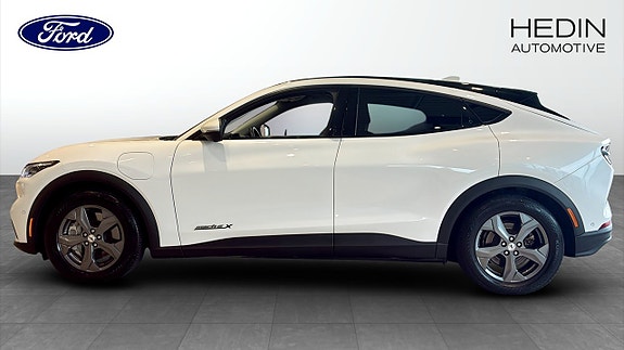 Ford Mustang Mach-E 6 of 12