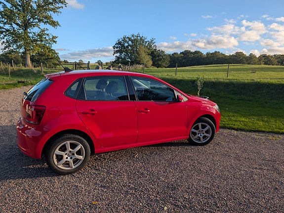 Volkswagen Polo 2 of 2
