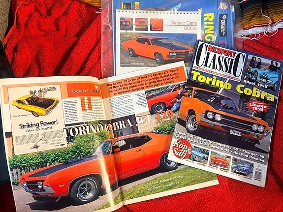 Ford Torino 25 of 30