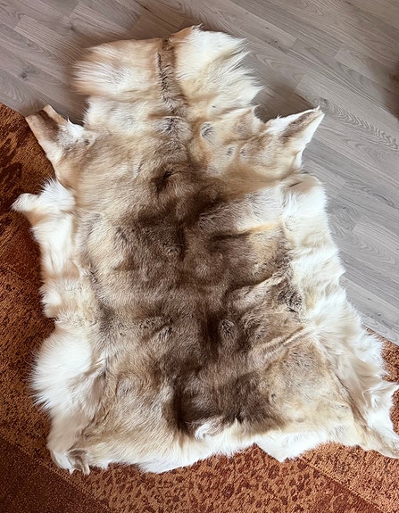 Product image 1 of 10