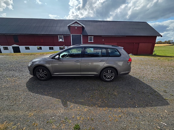 Volkswagen Golf VII 7 of 9