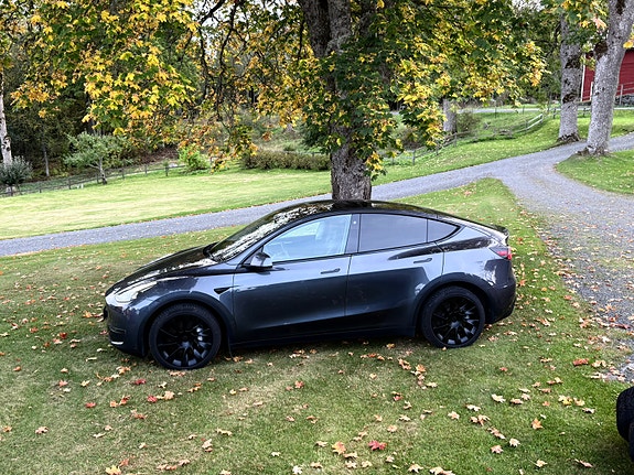 Tesla Model Y 25 of 25