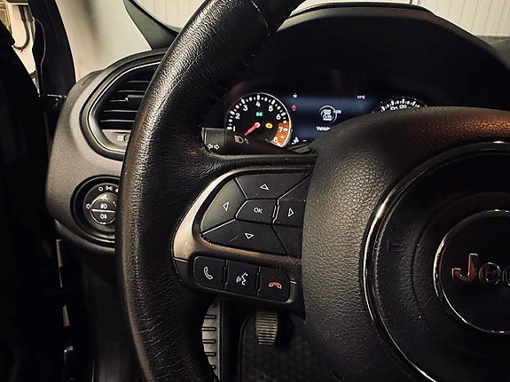 Jeep Renegade 14 of 19