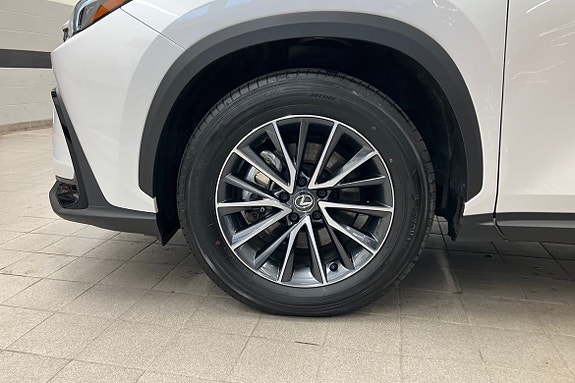 Lexus NX350h 19 of 21