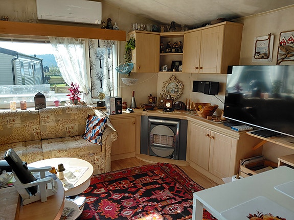 Willerby Jupiter 8 of 10