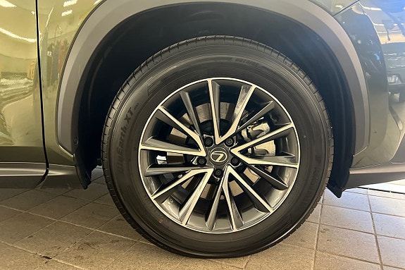 Lexus NX450h+ 15 of 30
