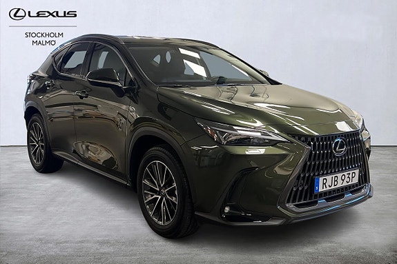 Lexus NX450h+ 18 of 30