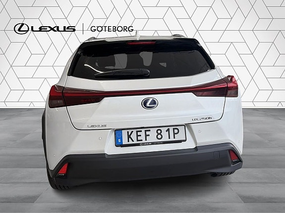 Lexus UX250h 6 of 22