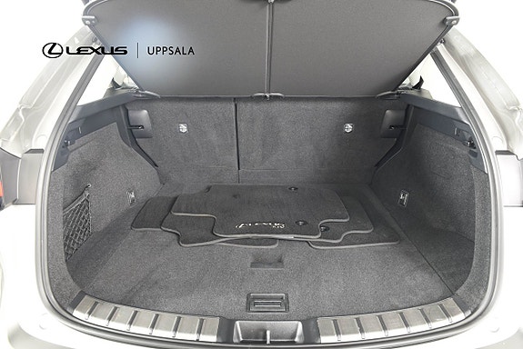 Lexus NX450h+ 9 of 16