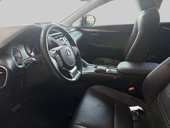 Lexus NX300h 11 of 18