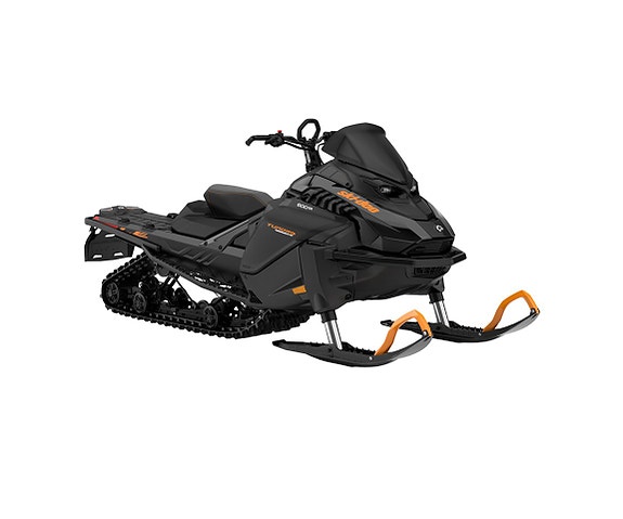 Ski-Doo Tundra LE 600 Ace