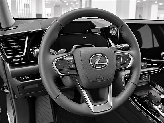 Lexus NX450h+ 5 of 9