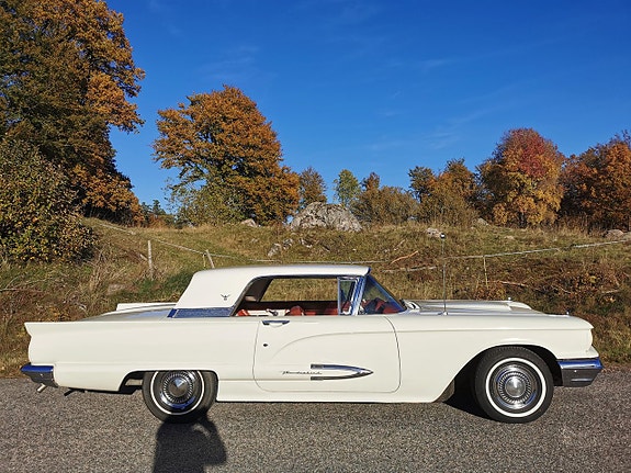 Ford Thunderbird 4 of 9
