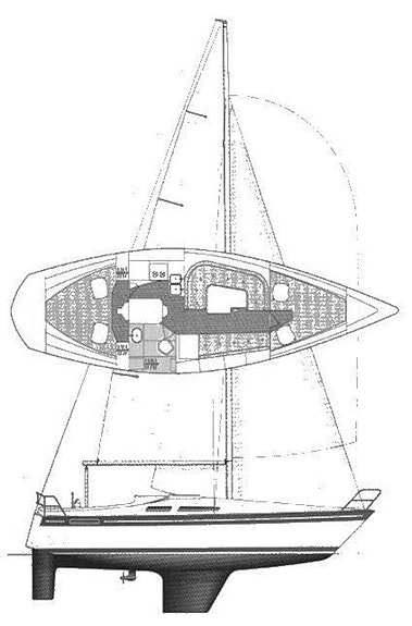 Scanmar 33 13 of 28