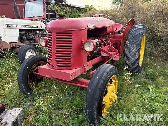 Veterantraktor David Brown 25D 3 of 6