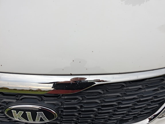 Kia Sorento 20 of 22