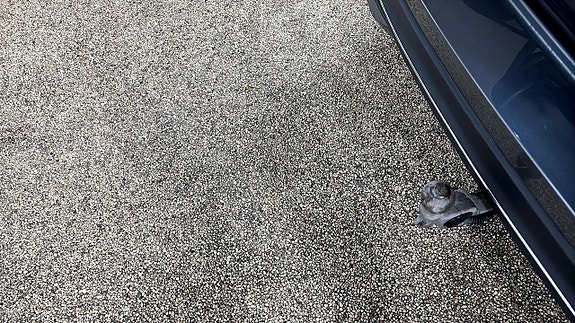 Volkswagen Passat 13 of 13