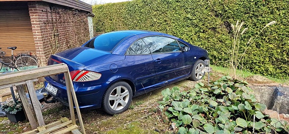 Peugeot 307 CC 6 of 16