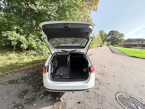 Volkswagen Golf Alltrack 7 of 8
