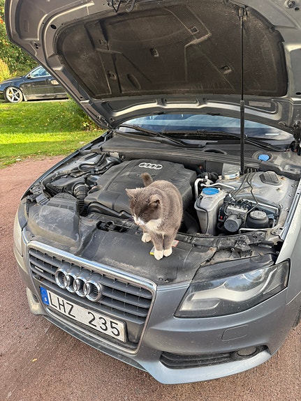 Audi A4 5 of 6
