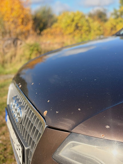 Audi A4 allroad 14 of 19