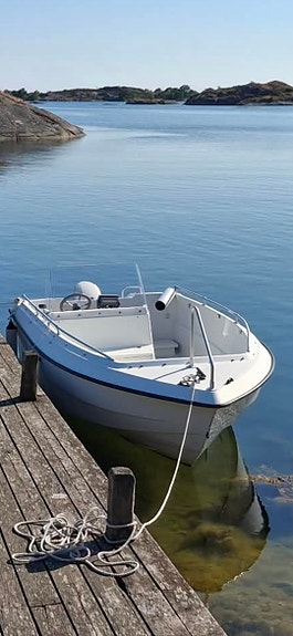 Ryds 530gt. Evinrude e-tec. Trailer. 3 of 9
