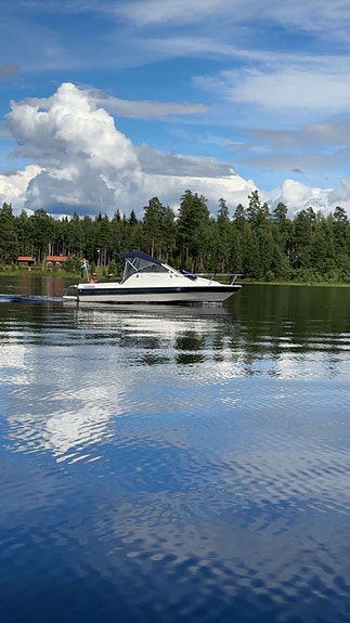 Bayliner capri 1952 3 of 4