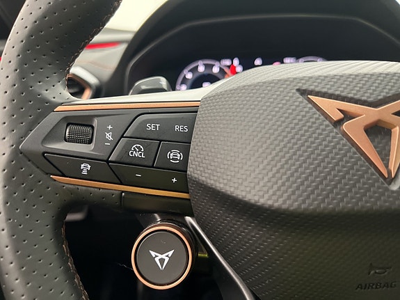 Cupra Formentor 13 of 30