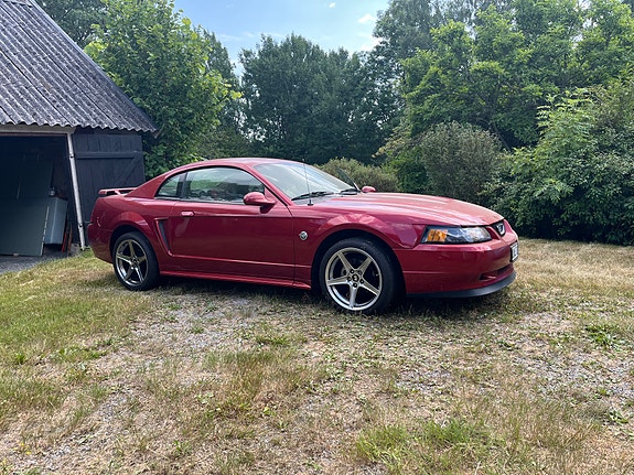 Ford Mustang 3 of 8