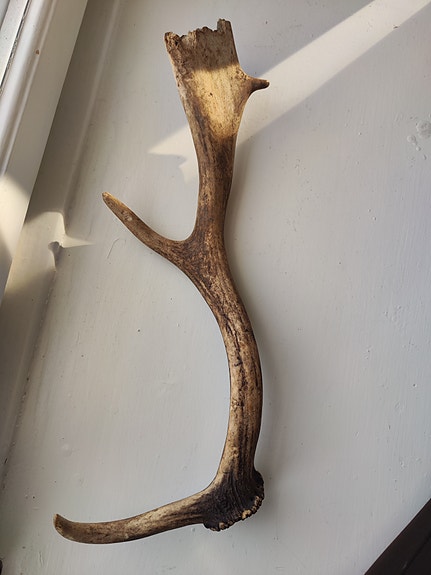 Product image 1 of 8