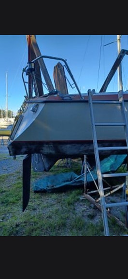 Comfort 26 som behöver mycket kärlek BORTSKÄNKES 2 of 3