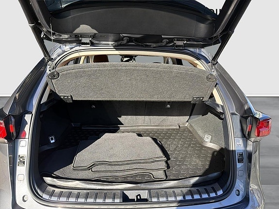 Lexus NX300h 10 of 14