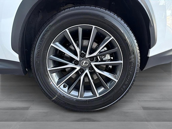 Lexus NX350h 11 of 14