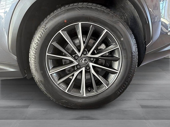 Lexus NX450h+ 11 of 14