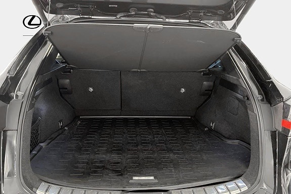 Lexus NX450h+ 9 of 10