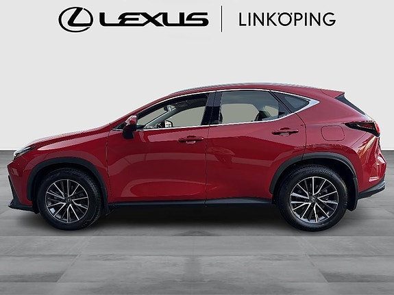 Lexus NX350h 3 of 14