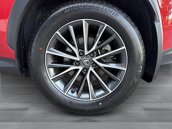 Lexus NX350h 11 of 14