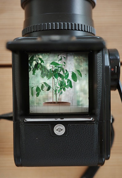 Product image 1 of 10