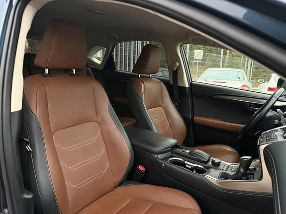 Lexus NX300h 14 of 30