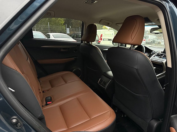 Lexus NX300h 17 of 30