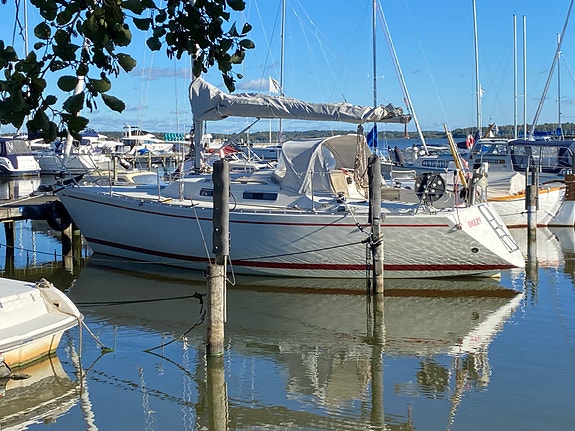 Albin Delta 3 of 26