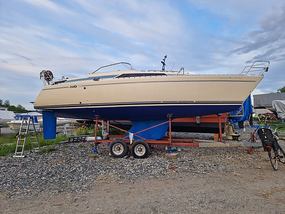 Maxi 33 5 of 15