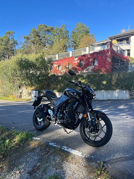 Yamaha MT-03 5 of 17