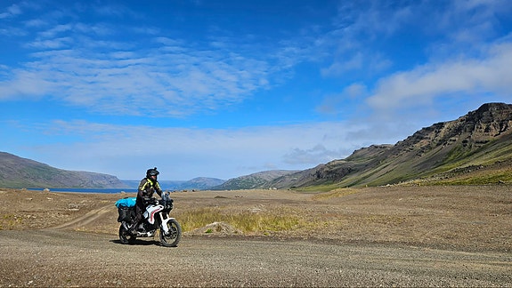 Ducati DesertX 4 of 4